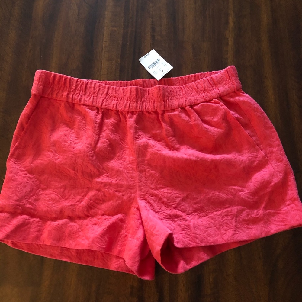 J Crew Shorts